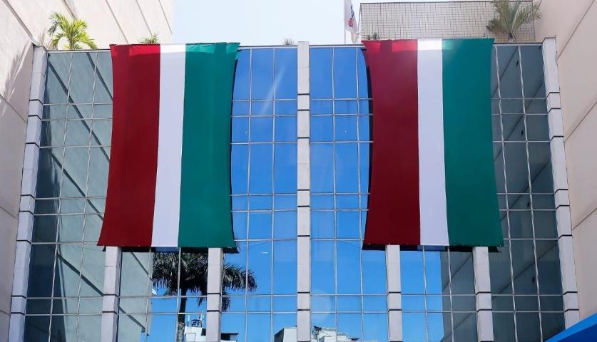 FERJ na torcida do Fluminense na Libertadores