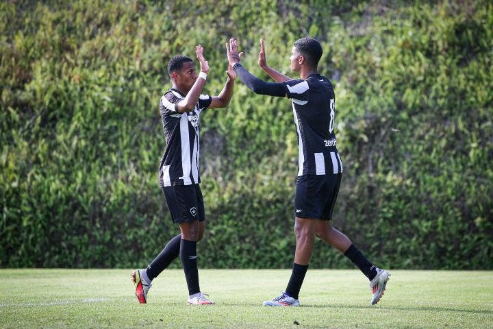 OPG: Botafogo confirma vaga na final com goleada