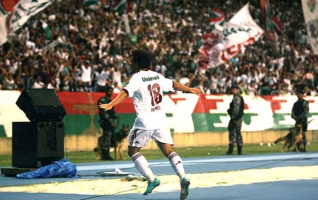 Brasileiro 2012 - Fluminense 2 X 1 Coritiba-pr - 33ª Rodada