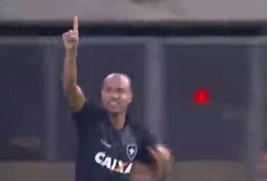 Brasileiro 2017 Série a - Fluminense 0 X 1 Botafogo - 13ª Rodada